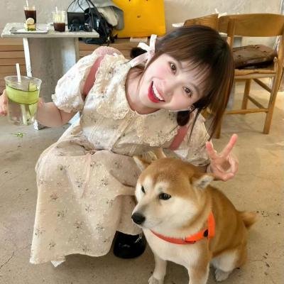 龙虎兴邦