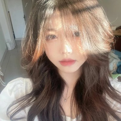 顽皮豹之怀念探长